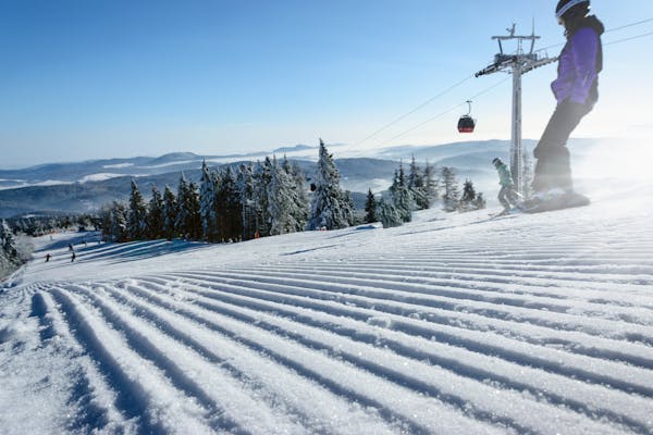 Ski Types Explained: Carving vs All-Mountain vs Powder vs Park